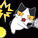 勝利の配置：大坂なおみ さん