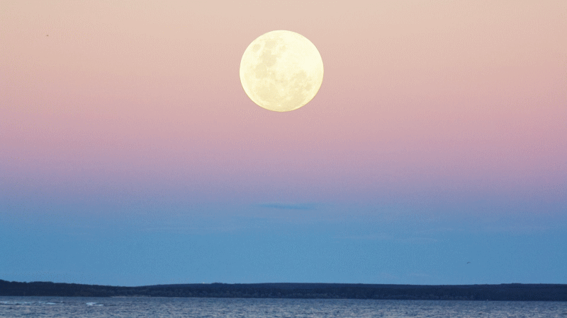 満月と海,フルモーン