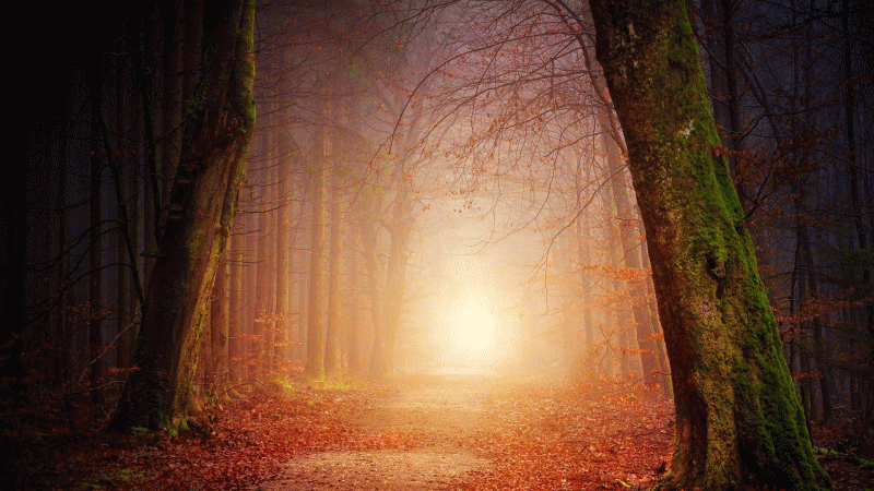 森から光、開運方位